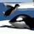 Yety Sports Pinguine